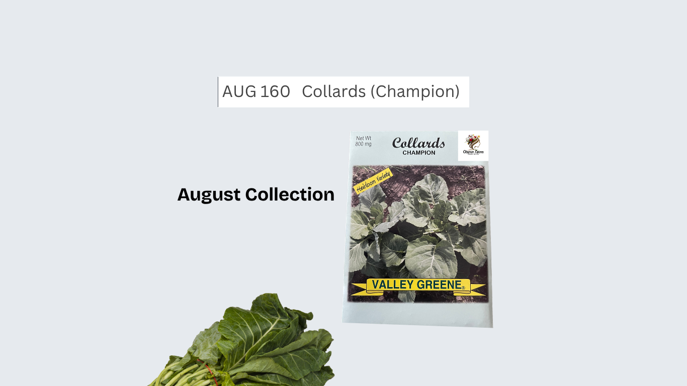 Collards (Champion)