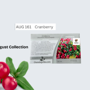 Cranberry