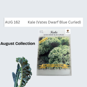 Kale (Vates Dwarf Blue Curled)