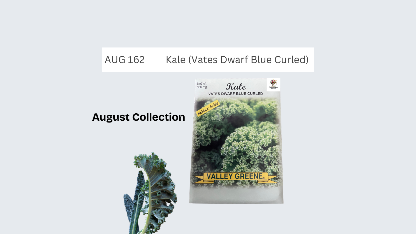 Kale (Vates Dwarf Blue Curled)