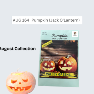 Pumpkin (Jack O'Lantern)