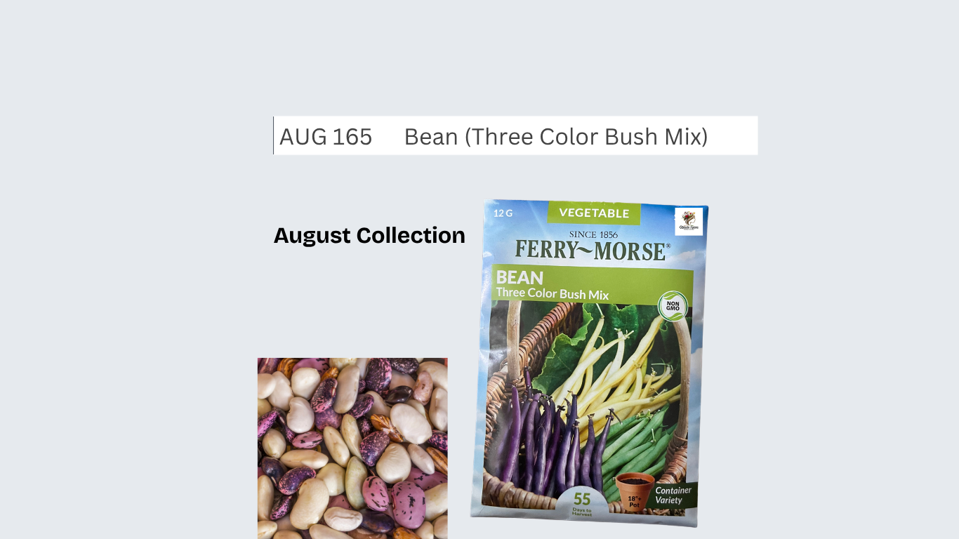 Bean (Three Color Bush Mix)