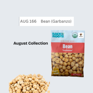 Bean (Garbanzo)