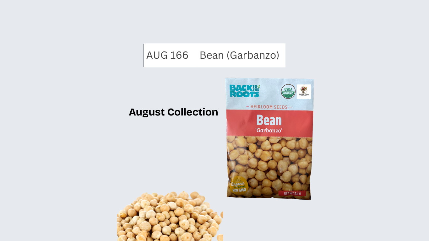 Bean (Garbanzo)