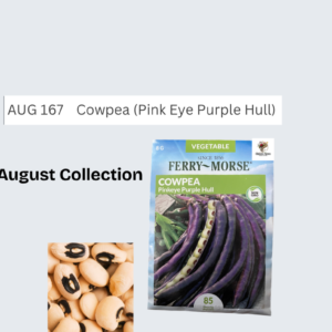 Cowpea (Pink Eye Purple Hull)