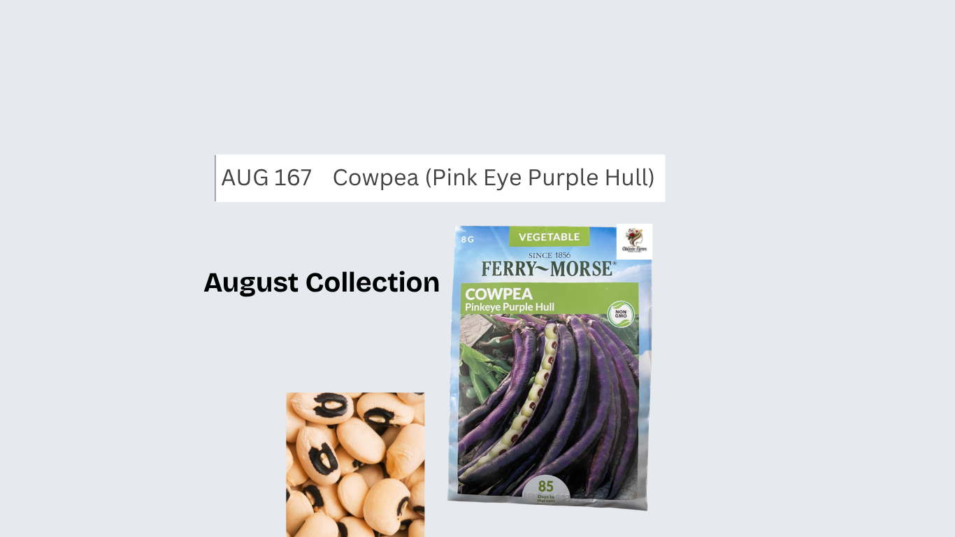 Cowpea (Pink Eye Purple Hull)