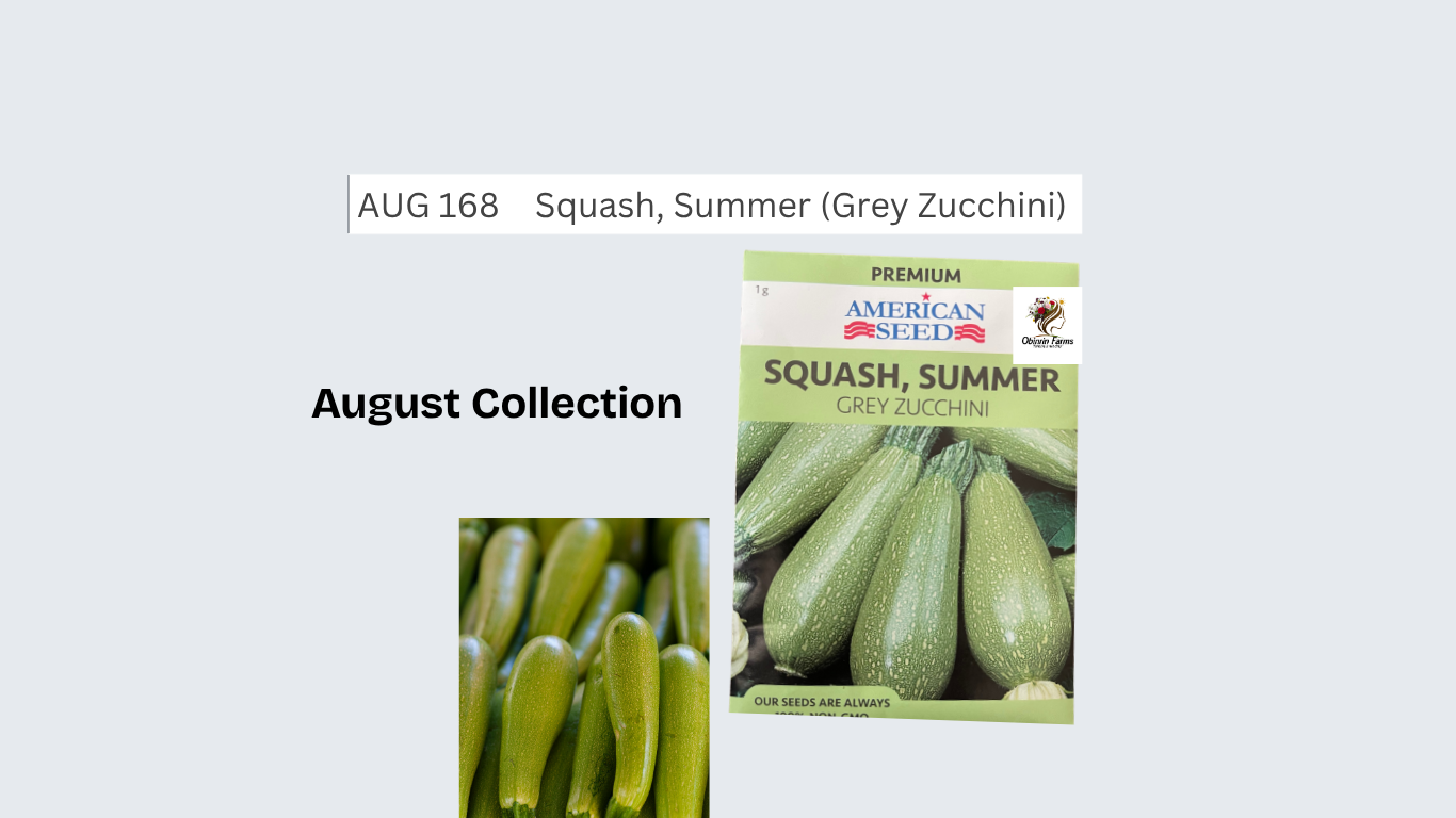 Squash, Summer (Grey Zucchini)