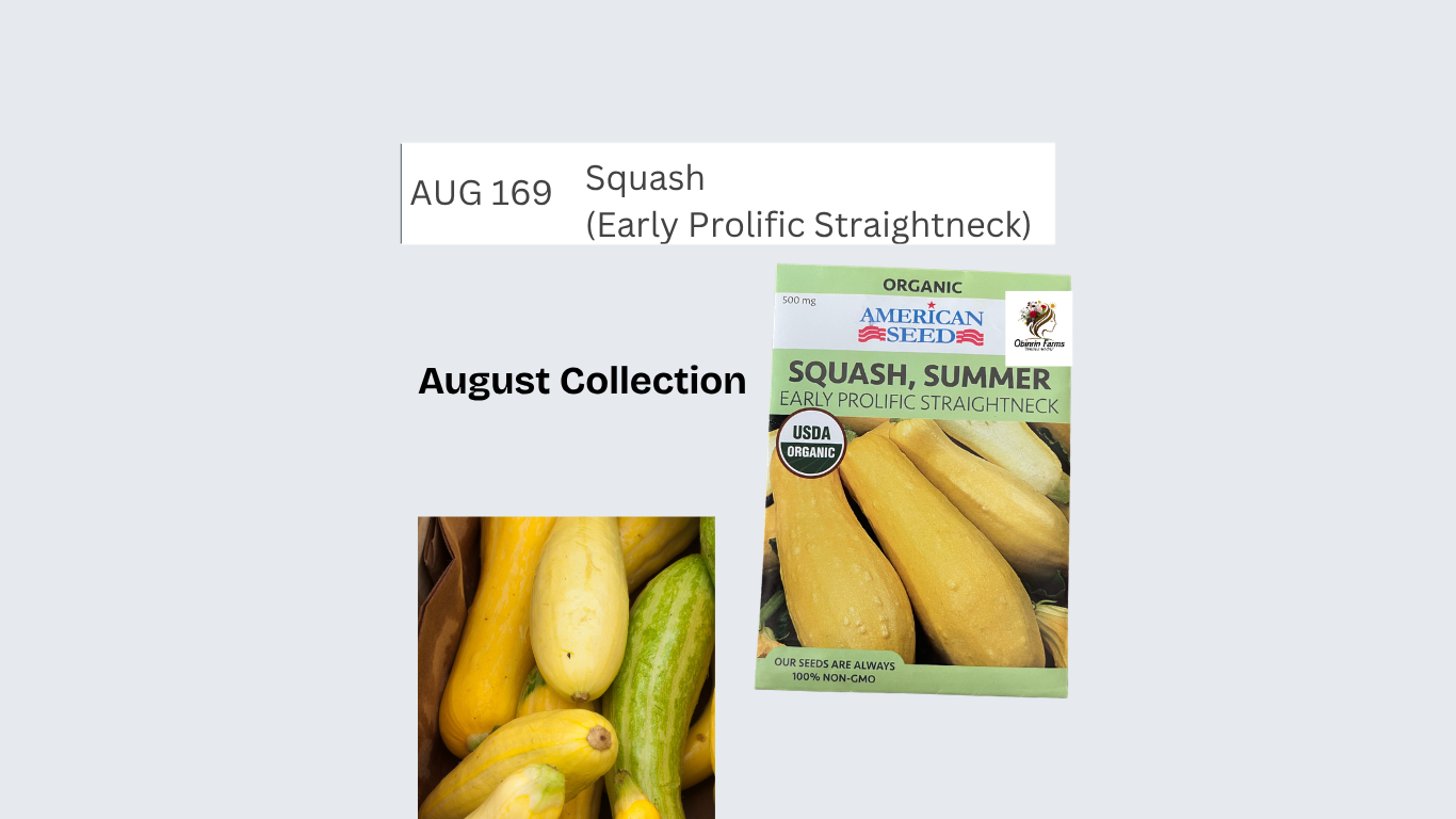 Squash (Straightneck Early Prolific)
