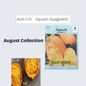 Squash (Spaghetti)