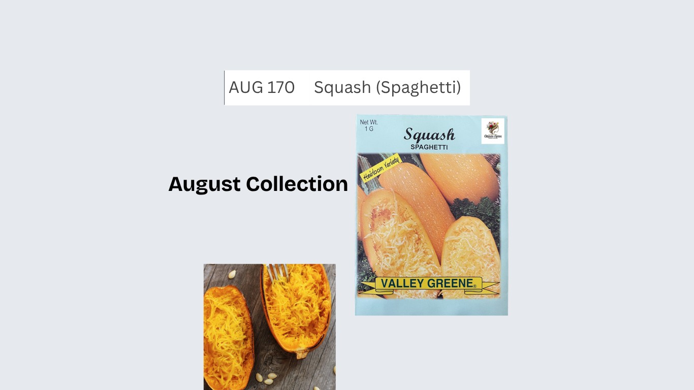 Squash (Spaghetti)