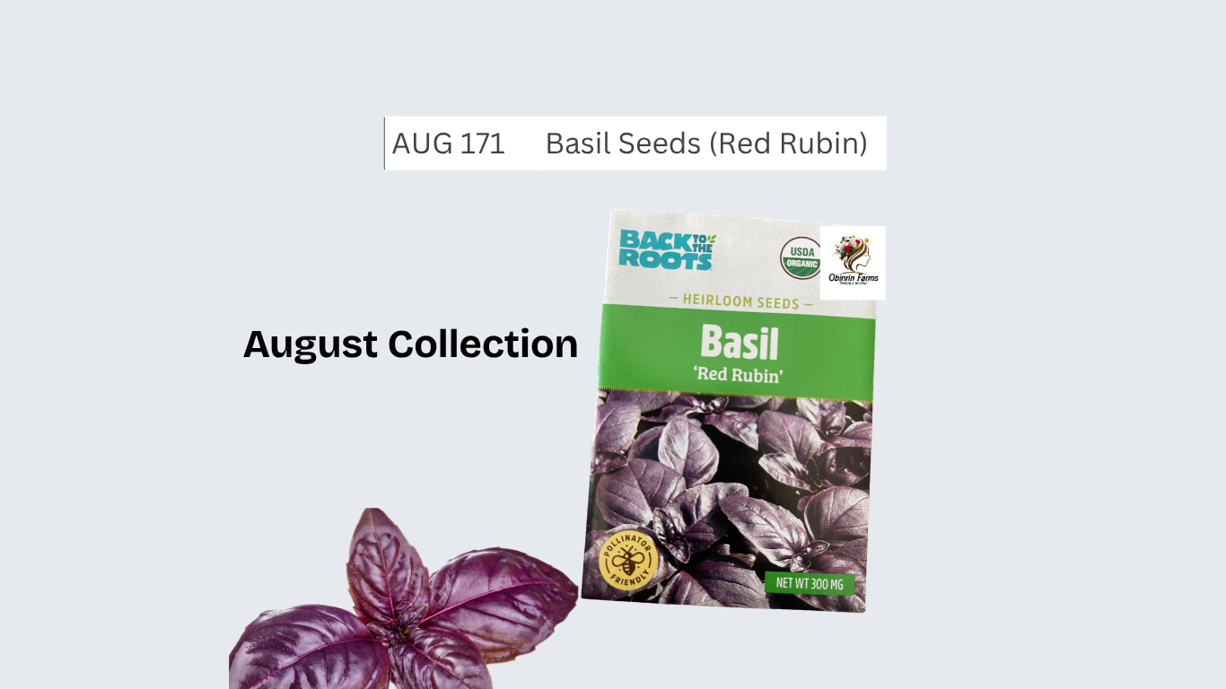 Basil Seeds (Red Rubin)