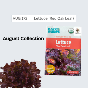 Lettuce (Red Oak Leaf)