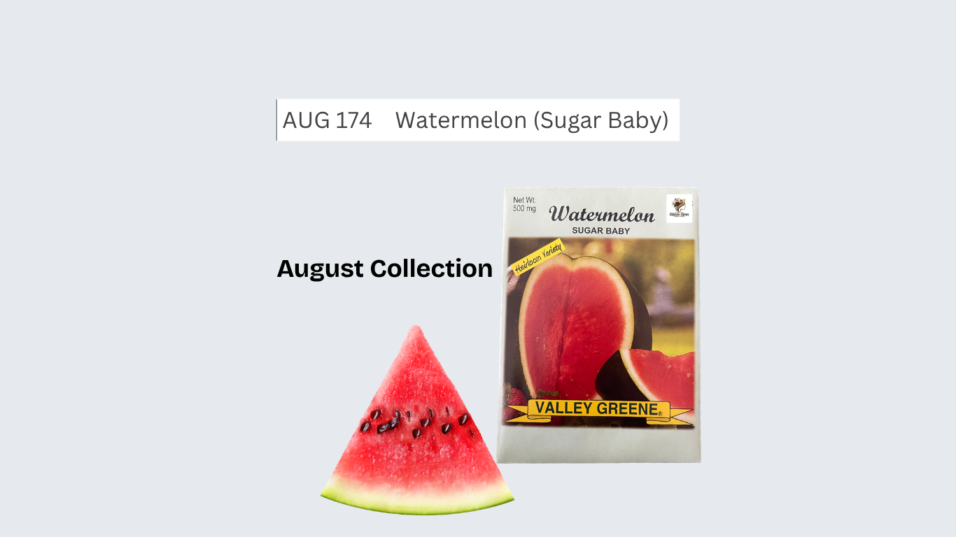 Sugar Baby Watermelon