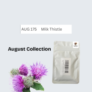 Milk Thistle