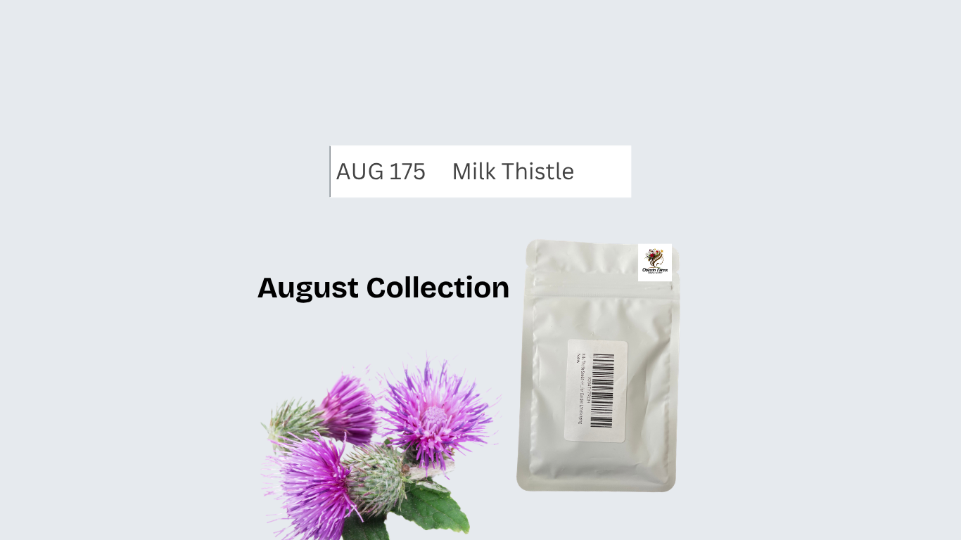 Milk Thistle