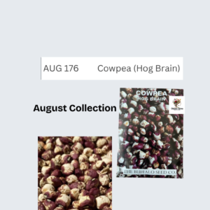 Cowpea (Hog Brain)