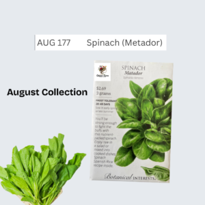 Spinach (Metador)