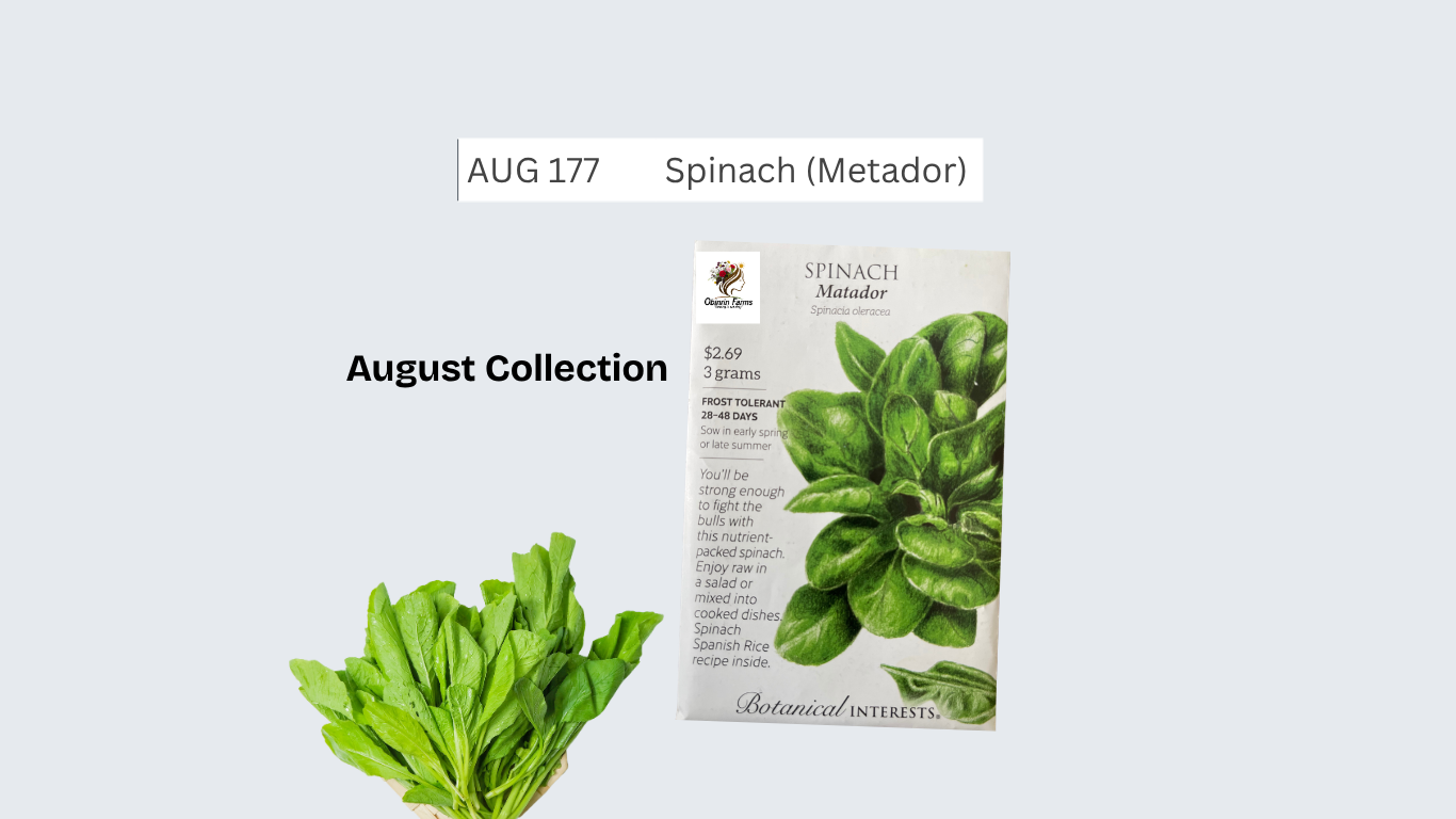 Spinach (Metador)
