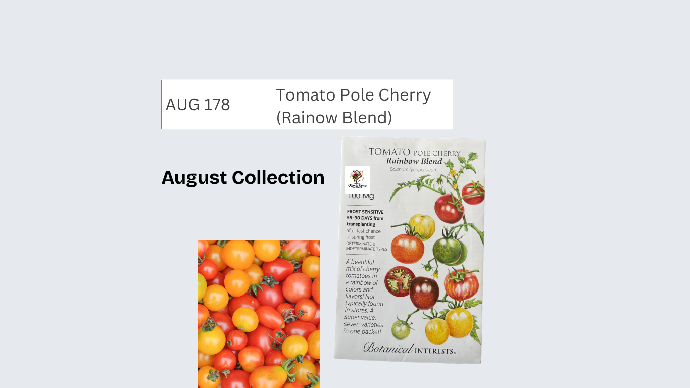 Tomato Pole Cherry (Rainbow Blend)