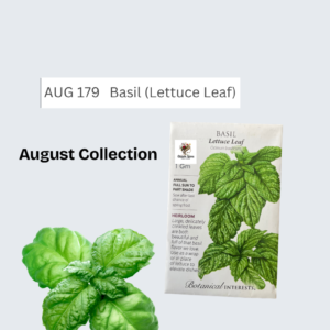 Basil (Leaf Lettuce)