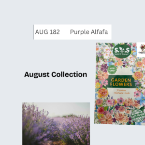 Purple Alfafa
