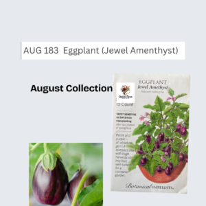 Eggplant (Jewel Amenthyst)