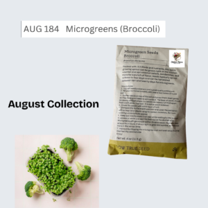 Microgreens (Broccoli)