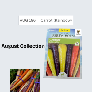 Carrot (Rainbow)