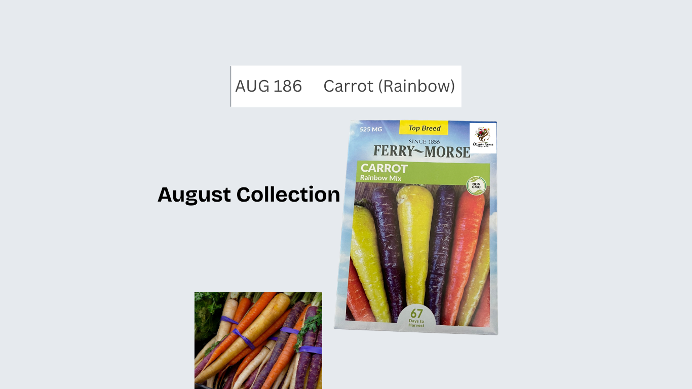 Carrot (Rainbow)