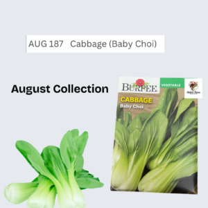 Cabbage (Baby Choi)