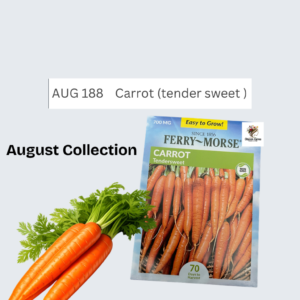 Carrot (tender sweet )
