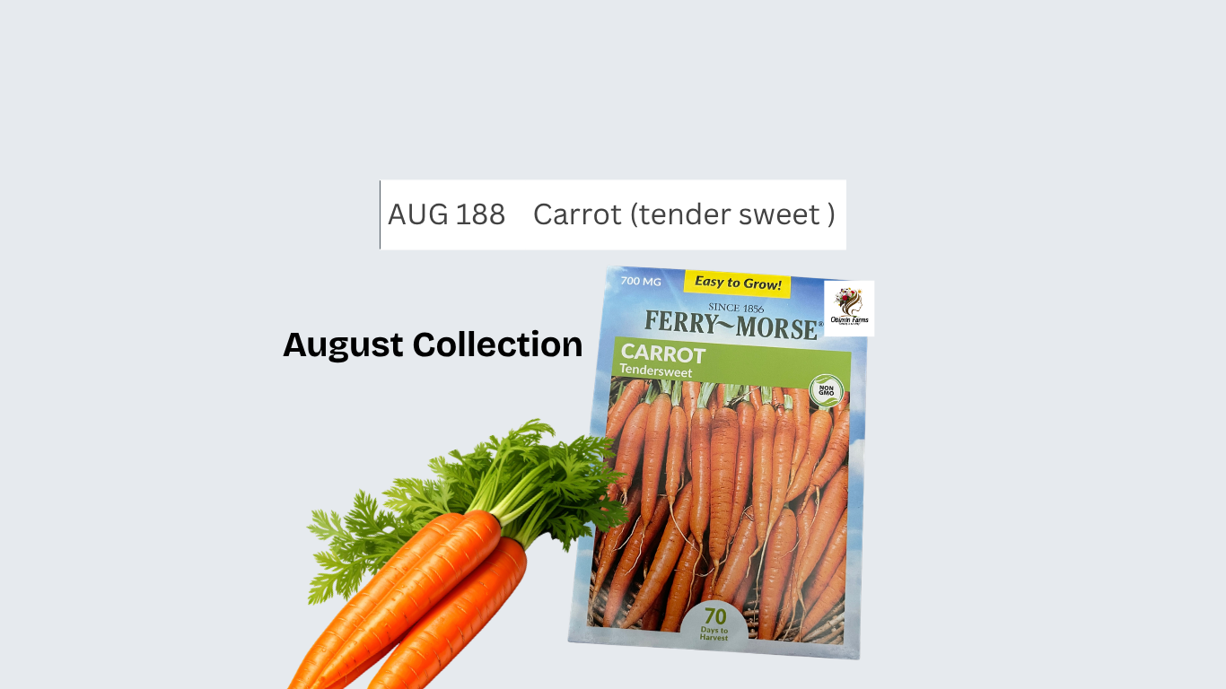 Carrot (tender sweet )