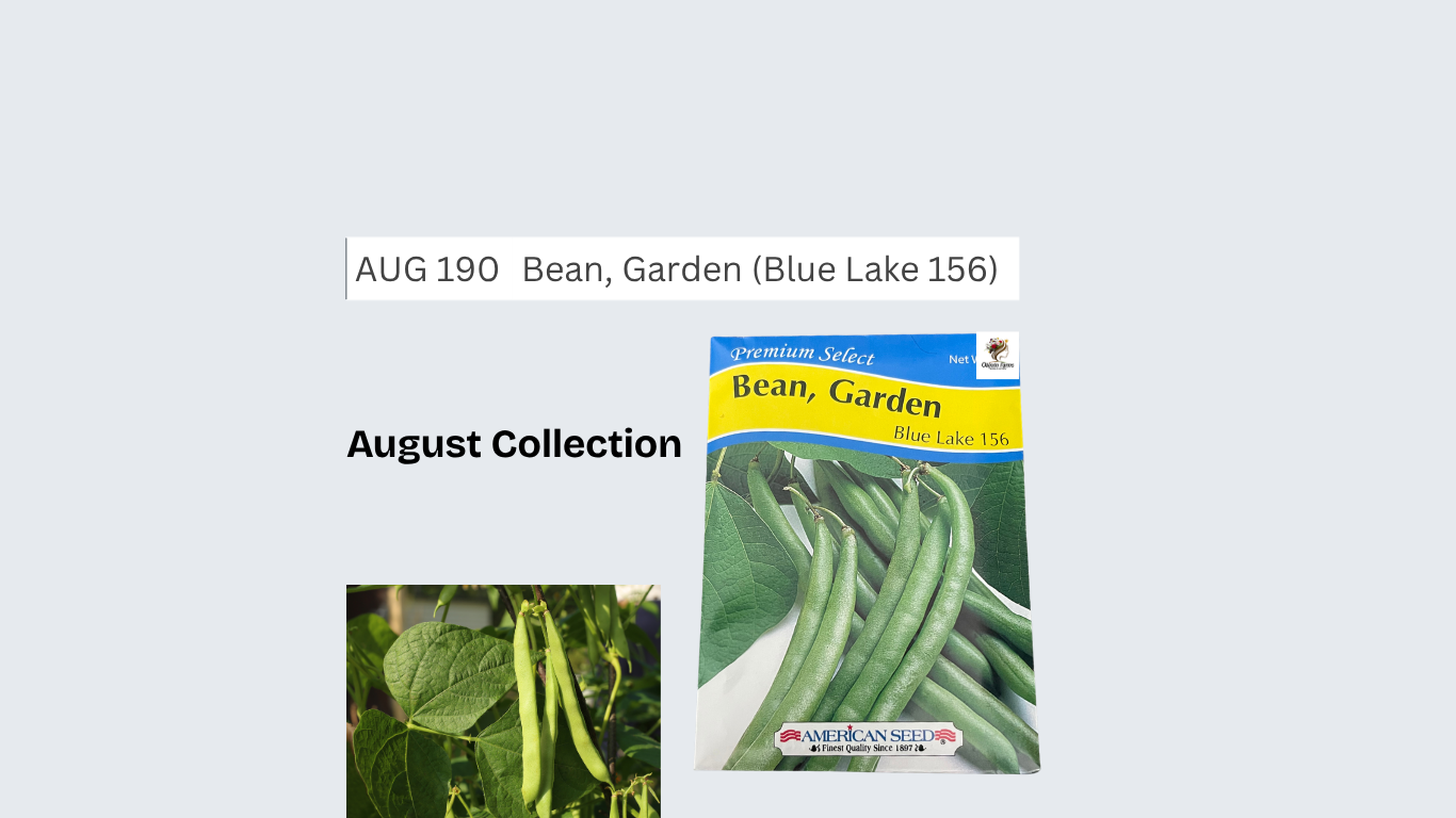 Bean, Garden (Blue Lake 156)