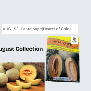 Cantaloupe(Hearts of Gold)