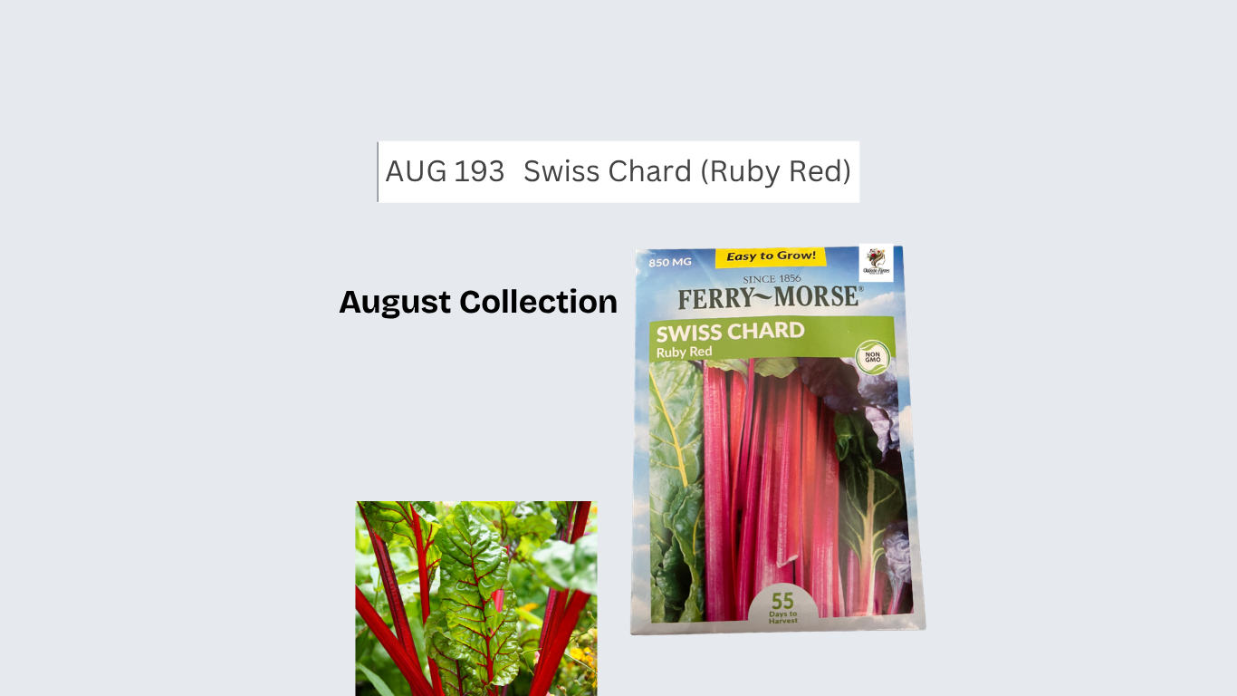 Swiss Chard (Red Ruby)