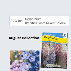 Delphinium (Pacific Giants Mixed Colors)