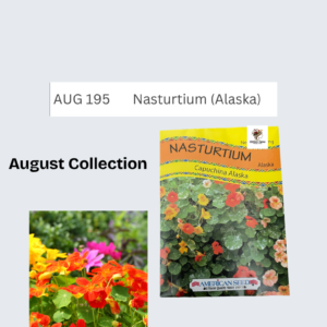 Nasturtium (Alaska)
