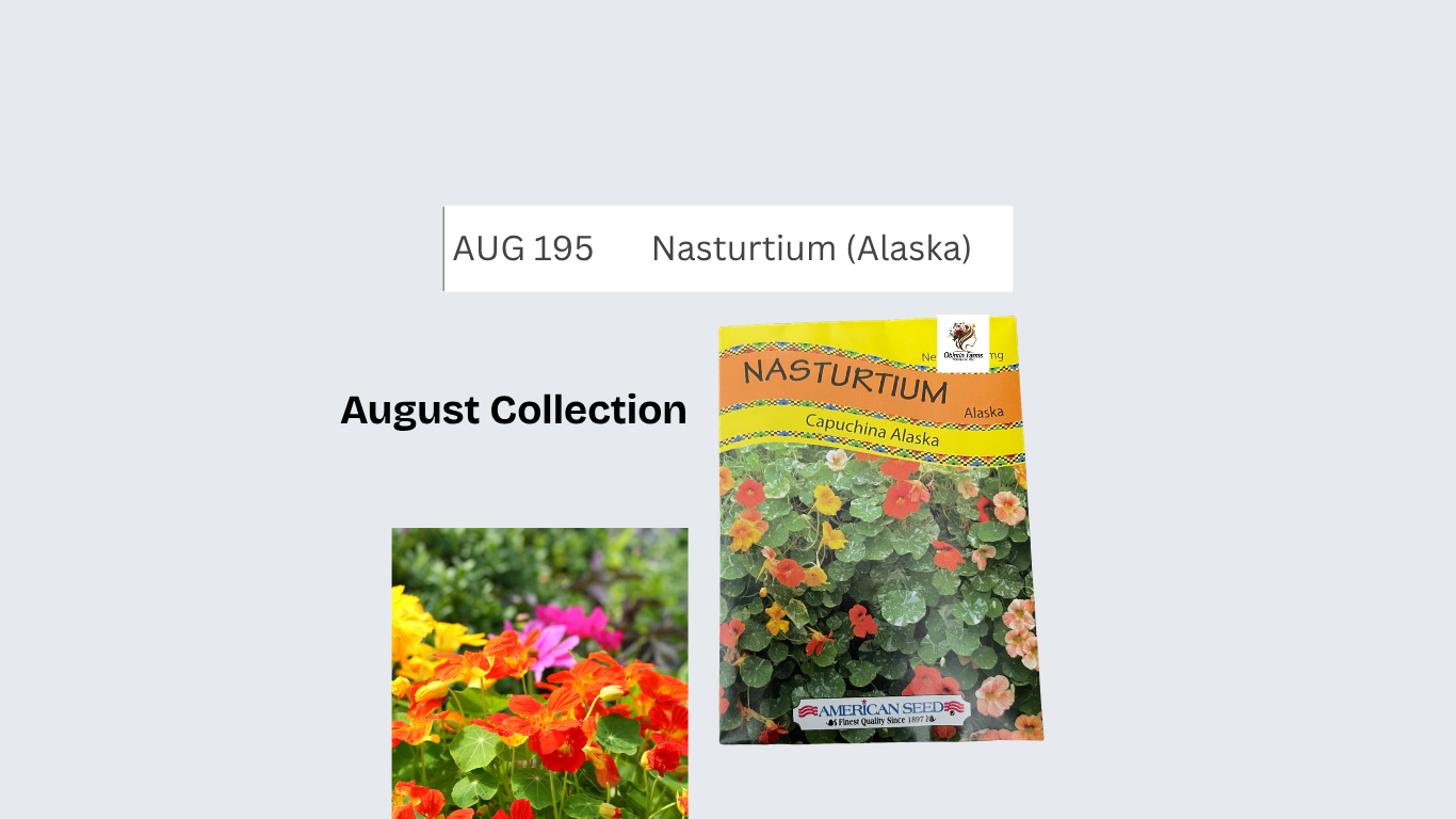 Nasturtium (Alaska)