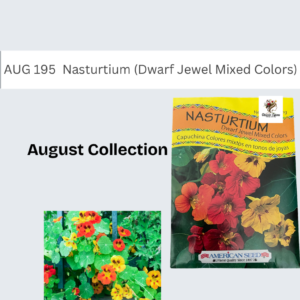 Nasturtium (Dwarf Jewel Mixed Colors)