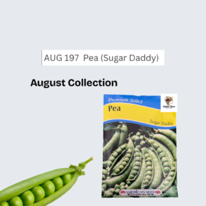 Pea (Sugar Daddy)