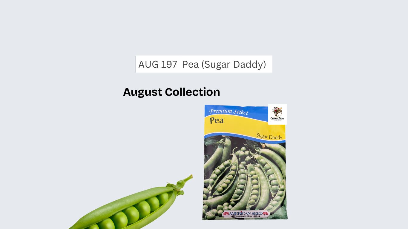 Pea (Sugar Daddy)