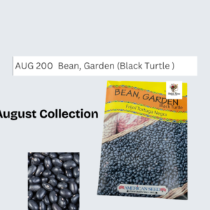 Bean, Garden (Black Turtle )