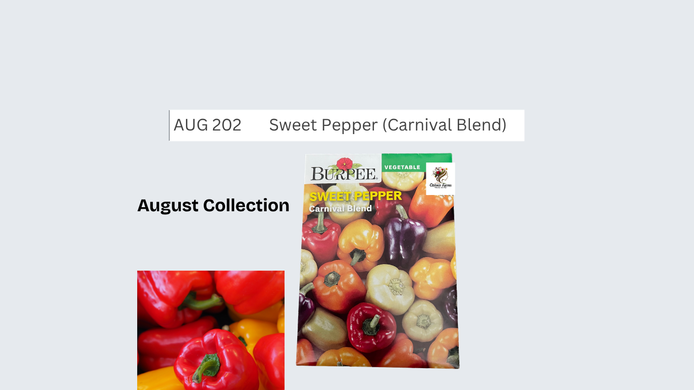 Sweet Pepper (Carnival Blend)