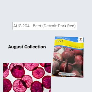 Beet (Dark Detroit Red)