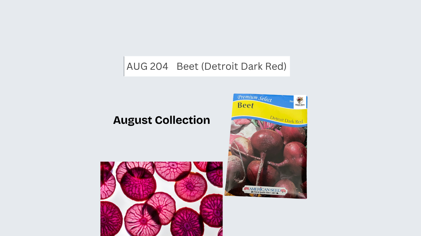 Beet (Dark Detroit Red)