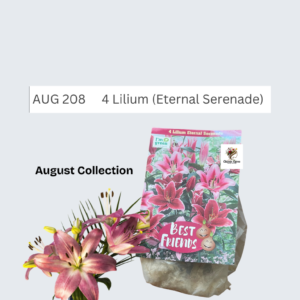 Lilium (Eternal Serenade)