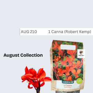 Canna (Robert Kemp)