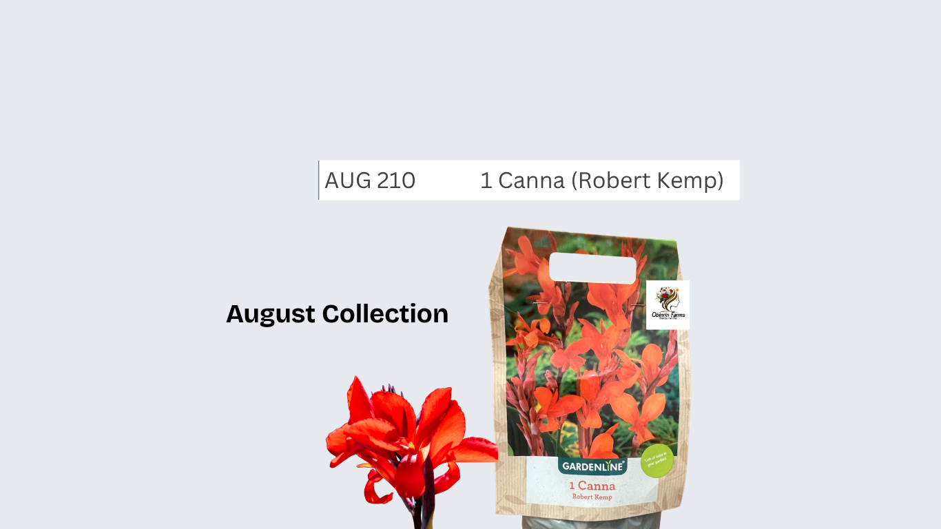 Canna (Robert Kemp)