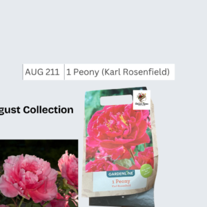 Peony (Karl Rosenfield)