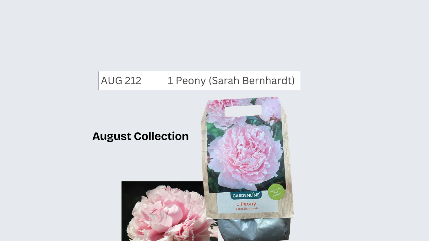 Peony (Sarah Bernhardt)